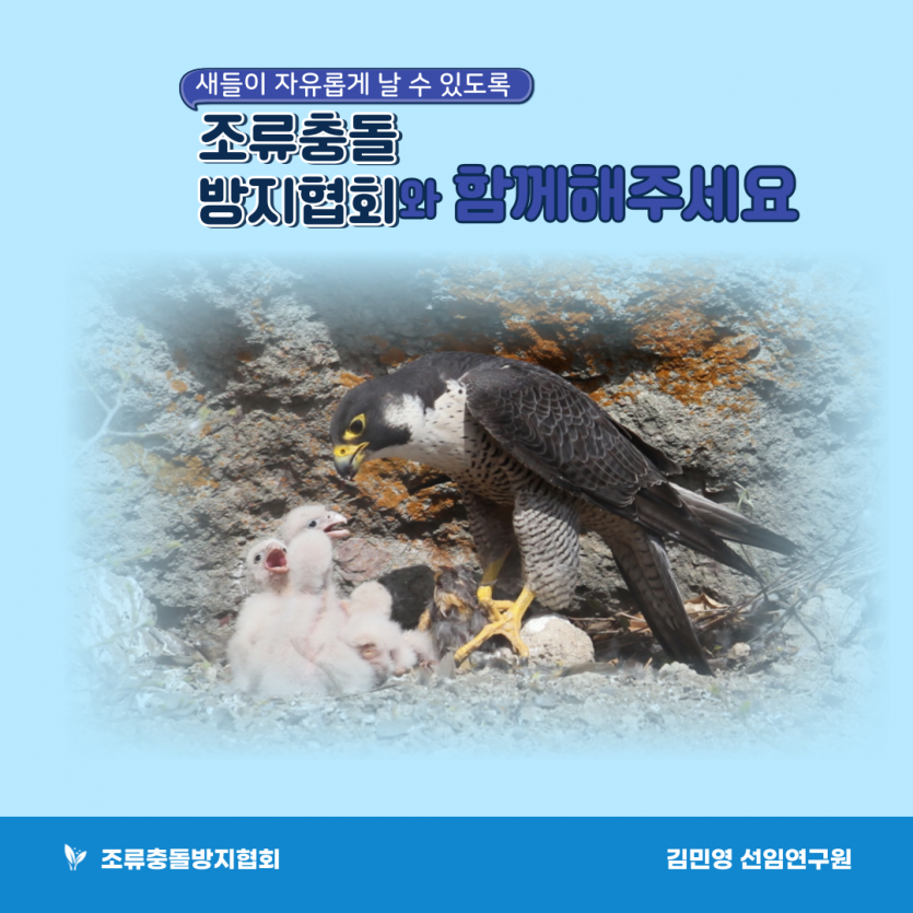 8f9a5bcb346bca38a00aa249576c07fd_1676608581_335.png