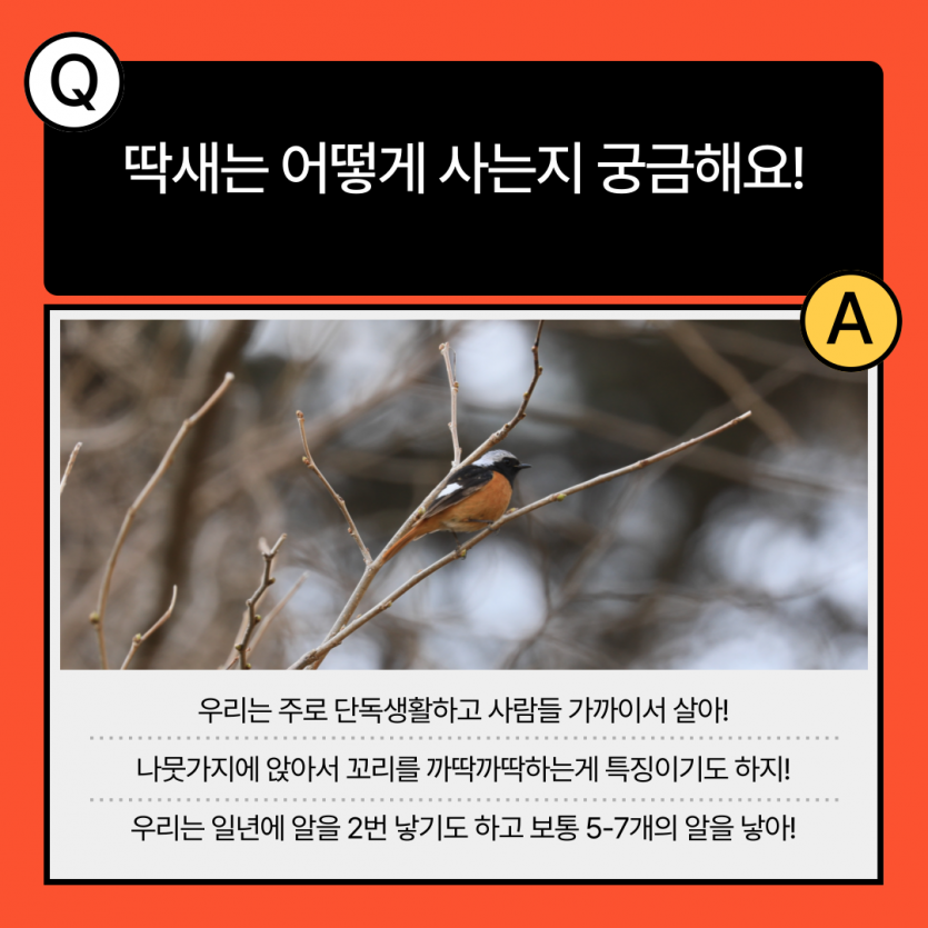 b6721519da09cf044a6ee5431fb881b6_1706749519_5759.png