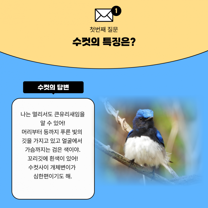 e6ee9404bfc52caf65267a4574f26197_1736315239_7449.png