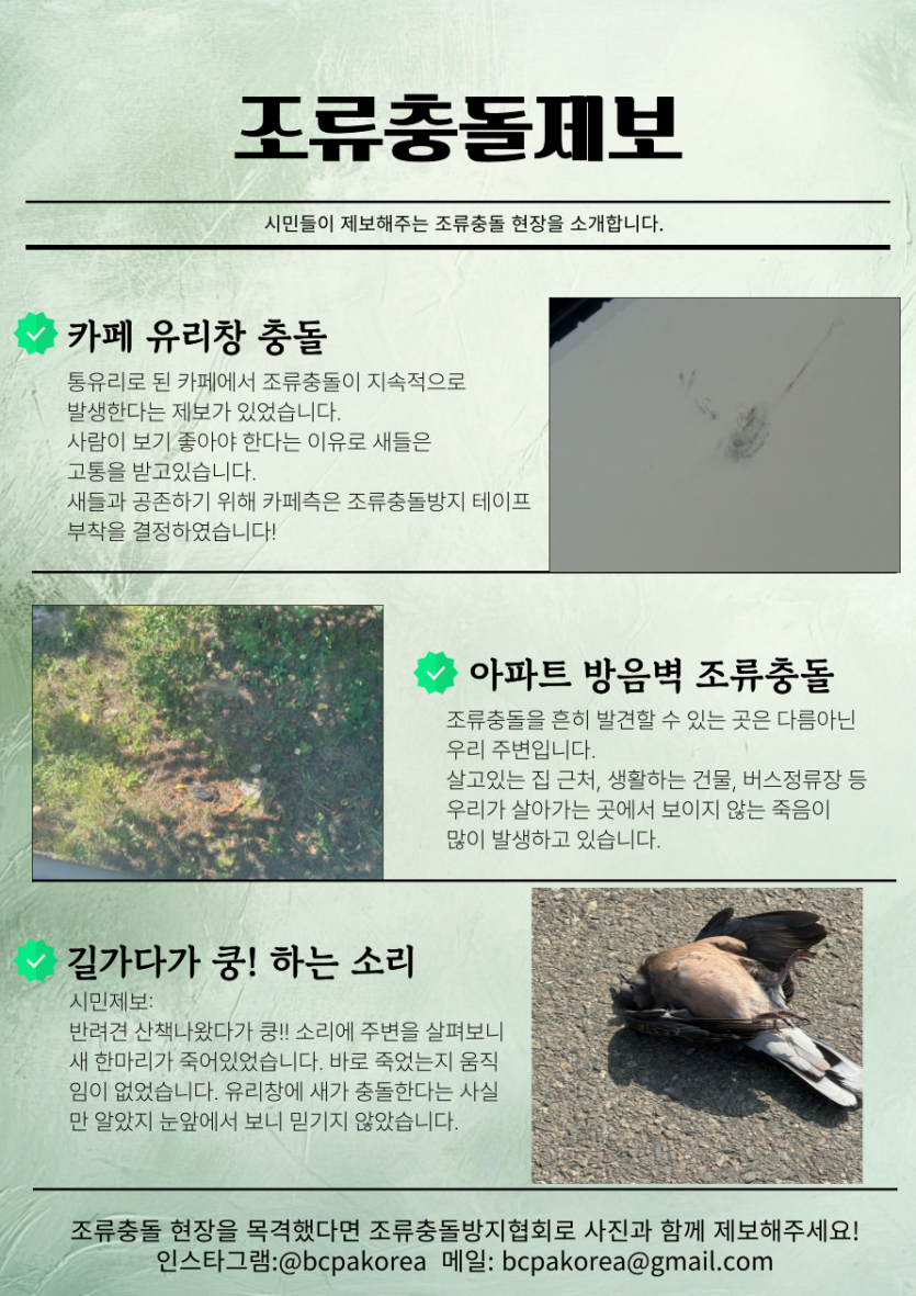eb3a989a85bb3d113450091849cec260_1742972615_4959.png