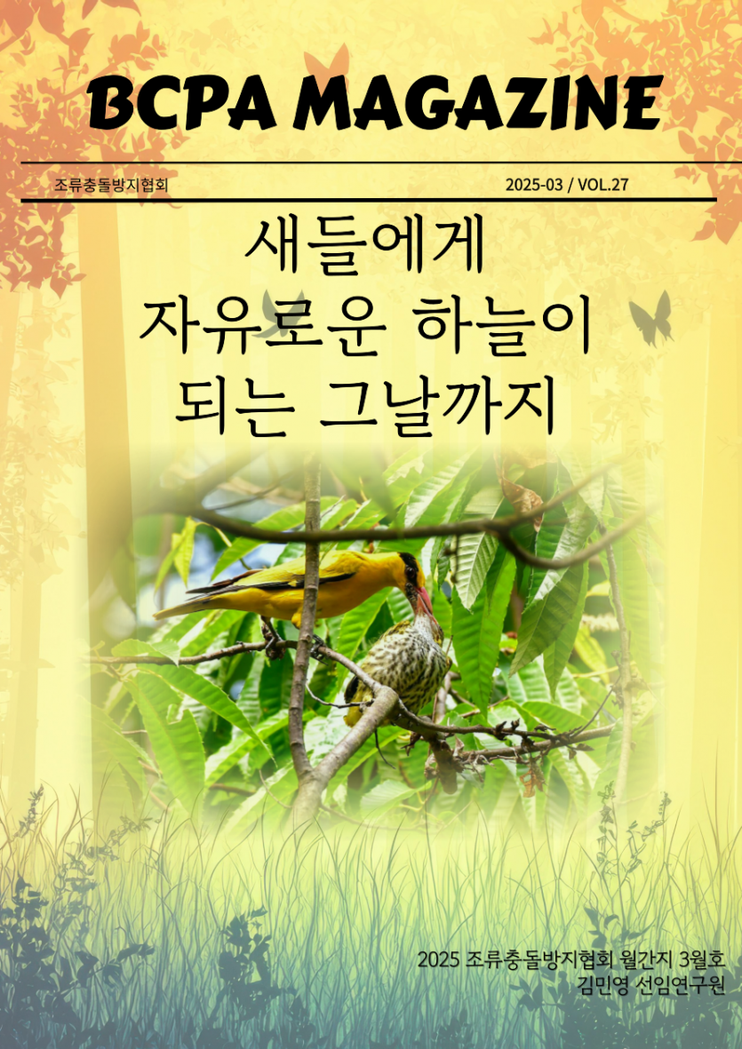 eb3a989a85bb3d113450091849cec260_1742972616_6742.png